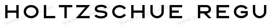 Holtzschue Regular字体转换